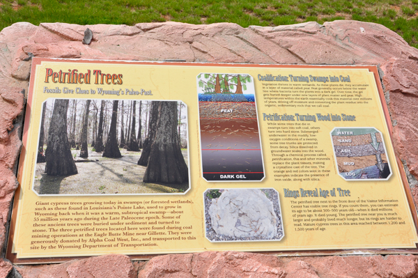 sign about Petrified Trees